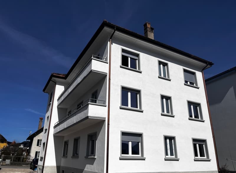 Bulle - Delizioso appartamento di 2,5 locali al 2° piano in affitto (6)
