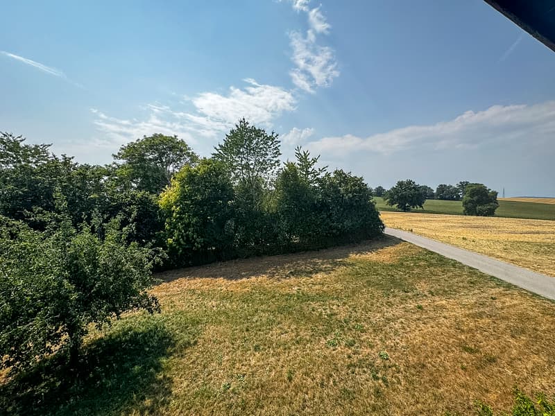 Pierrafortscha – 2.5 pièces au cœur de la campagne fribourgeoise (18)