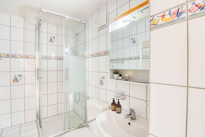 The most attractive 3.5-room apartment in the city for just CHF 650 mortgage interest per month! (17)
