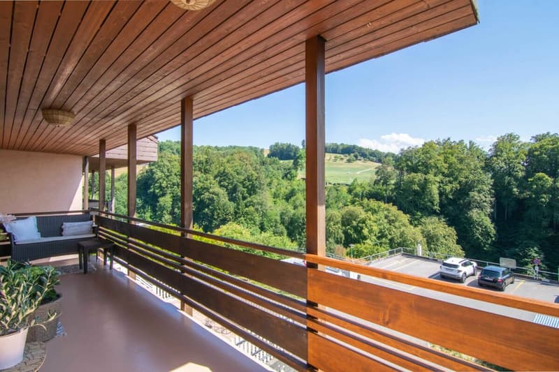 Very well-maintained 5.5-room semi-detached house with a dreamy garden, far-reaching views, and space for the whole family! (12)