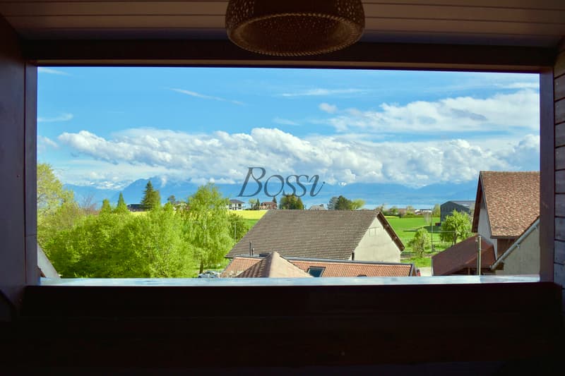 Apples - comme une maison : cachet, volumes, vue lac et gare à 700 m (6)