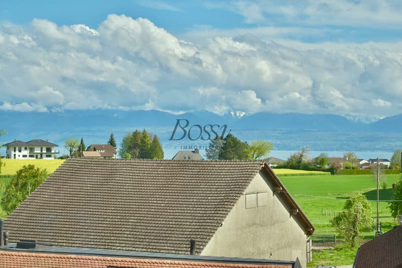 Apples - comme une maison : cachet, volumes, vue lac et gare à 700 m (1)