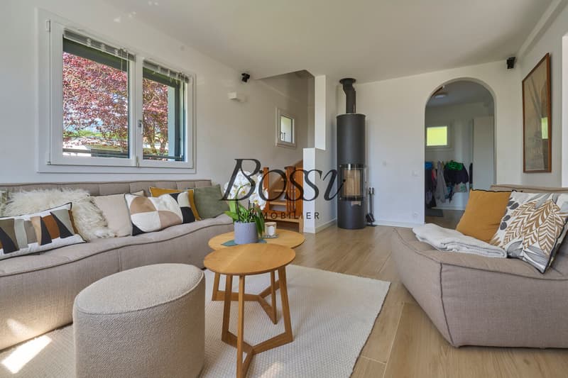Vista lago e Mont-Blanc, ristrutturazione completa e comfort moderno (10)