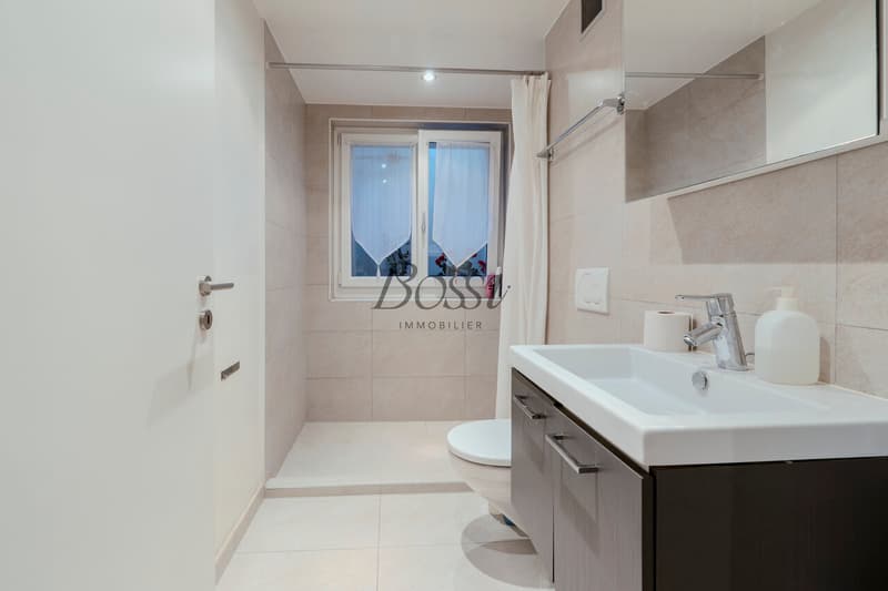 Duplex lumineux à Nyon avec terrasse, dépendance et ascenseur privé (12)
