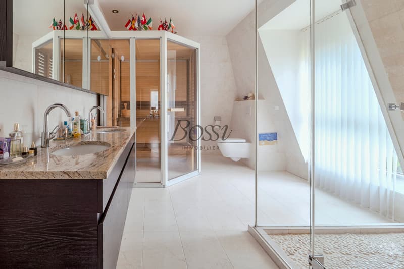 Duplex lumineux à Nyon avec terrasse, dépendance et ascenseur privé (7)