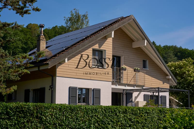 Lake & Mont-Blanc view, complete renovation and modern comfort (2)