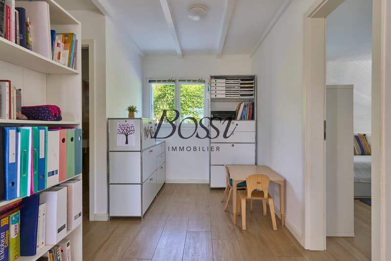 Lake & Mont-Blanc view, complete renovation and modern comfort (12)