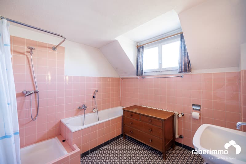 Räber Immo_EFH_Plattenstrasse 25_Dottikon (5)
