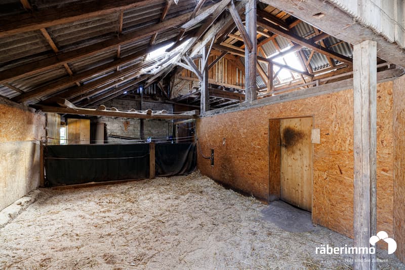 Räber Immo_Pferdehof_Unterdorf 16_Beinwil (2)