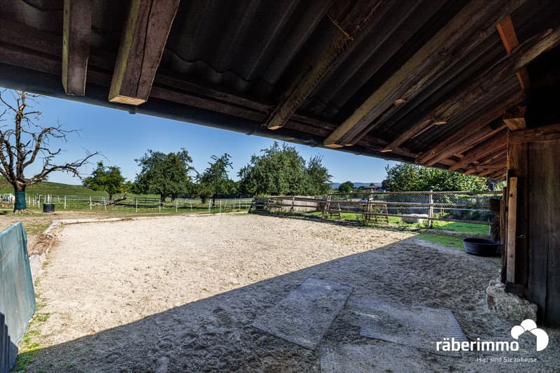 Räber Immo_Pferdehof_Unterdorf 16_Beinwil (3)