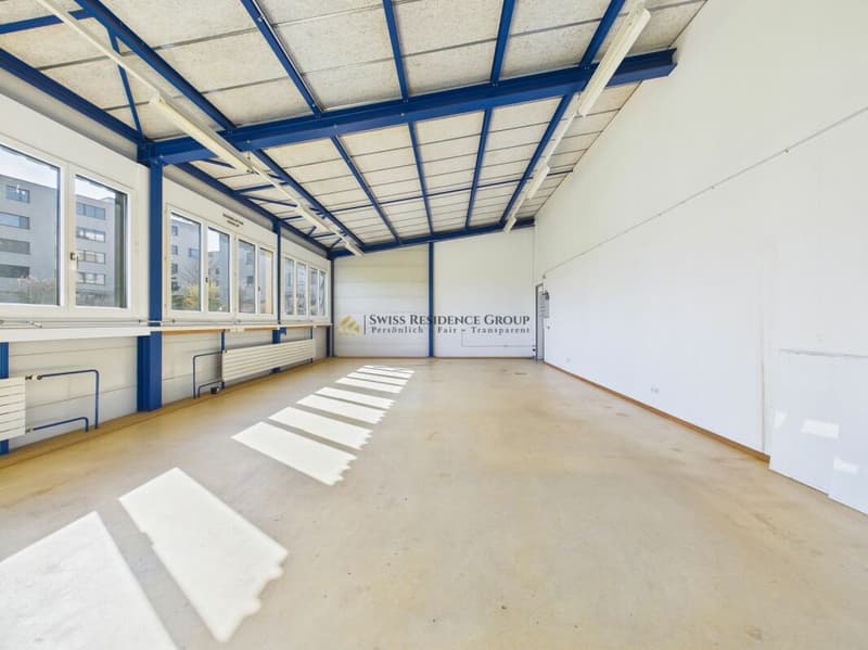 Spazio commerciale e di stoccaggio moderno con molta luce del giorno (4)