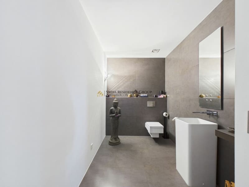 Top terrace apartment with 70 m² sun terrace (3)