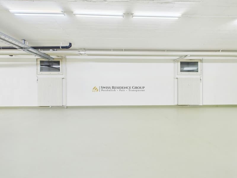 Ampio spazio di stoccaggio in una posizione centrale a Winterthur (14)