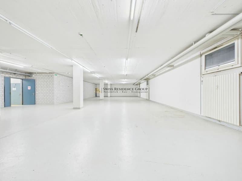 Ampio spazio di stoccaggio in una posizione centrale a Winterthur (10)