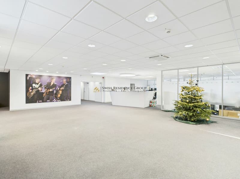 Riedmatt Center - Representative Office Spaces with Optimal Infrastructure (2)