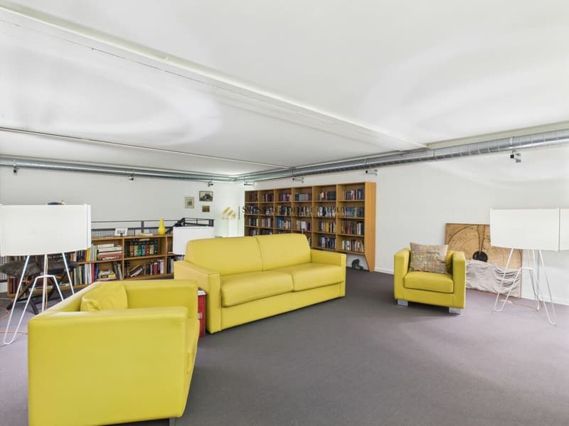 Historical character and luxurious design (4)