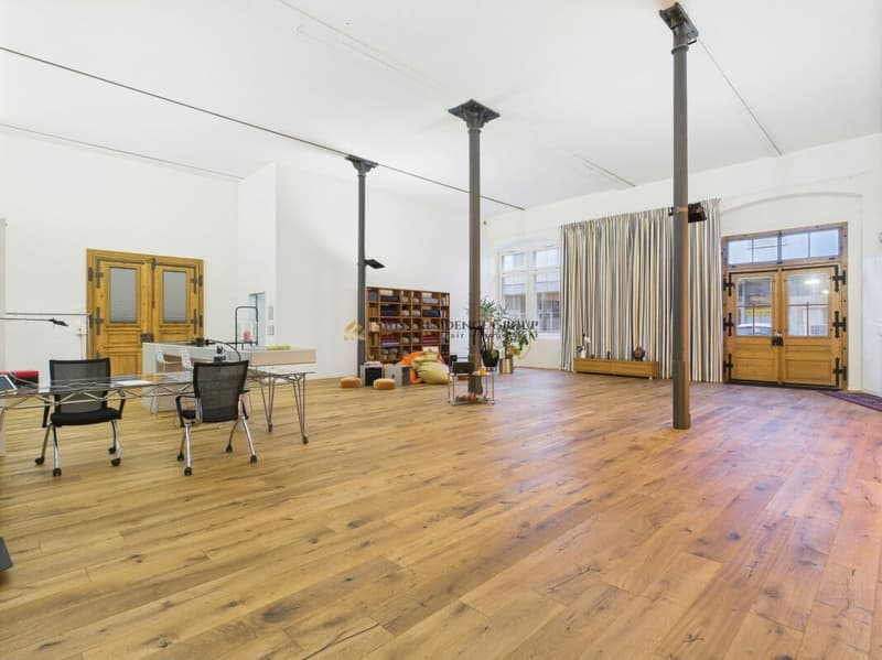 Historical character and luxurious design (2)