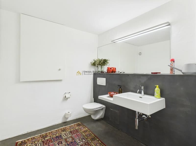 Historical character and luxurious design (6)