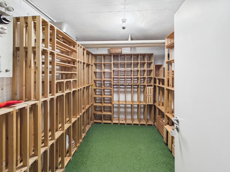 Grosszügiges 6-Zimmer-Einfamilienhaus mit Gartenidylle und Garage (12)