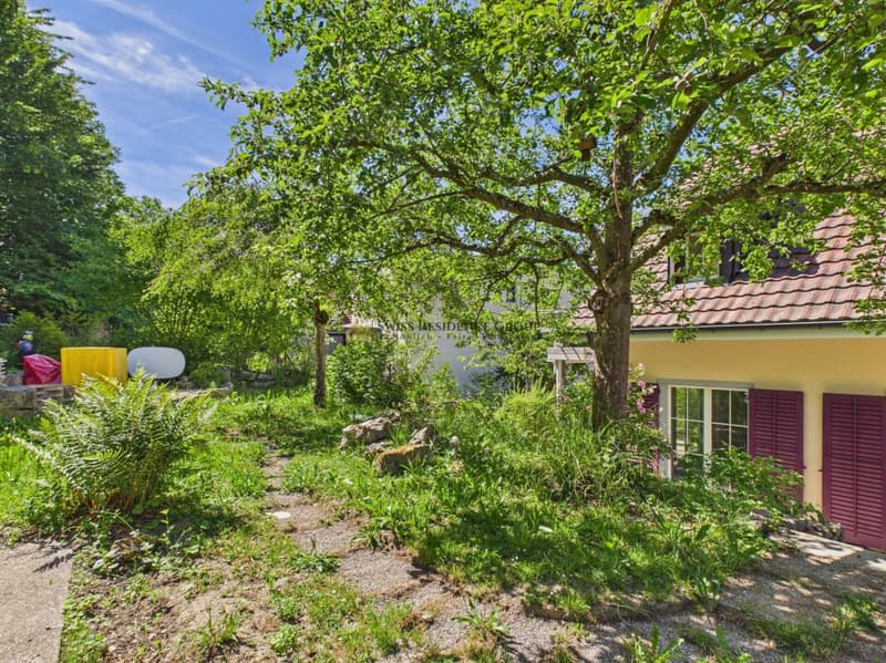Spacious 5.5-room single-family house with dream garden in Wettingen (15)