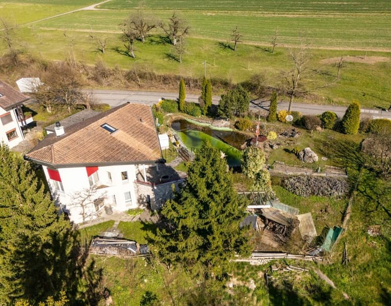 Single-family house with large plot & adjacent agricultural parcel (20)