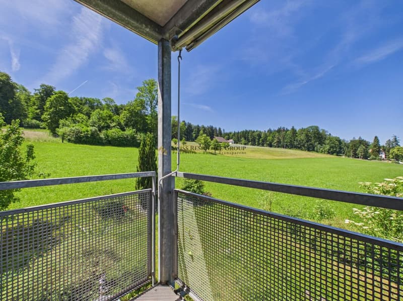 Bonheur urbain avec vue lointaine et extras exclusifs (17)