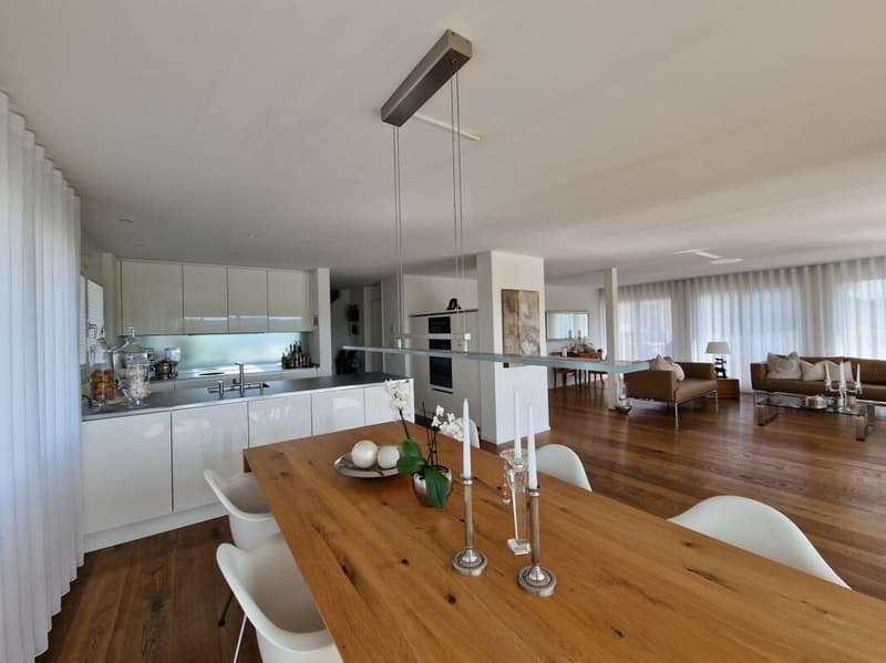 Casa a terrazza con molta privacy e vista sulla Reuss e le montagne (10)