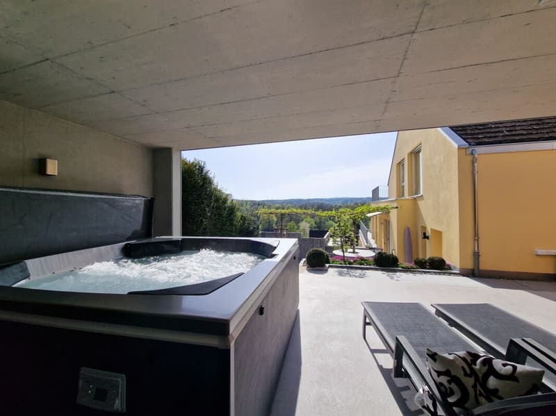 Maison à terrasses avec beaucoup d'intimité et vue sur la Reuss et les montagnes (23)
