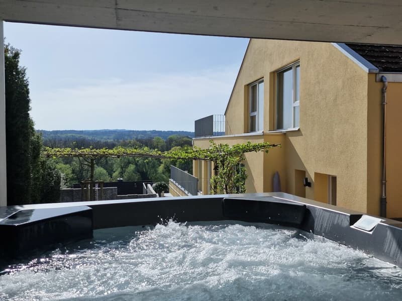 Maison à terrasses avec beaucoup d'intimité et vue sur la Reuss et les montagnes (4)