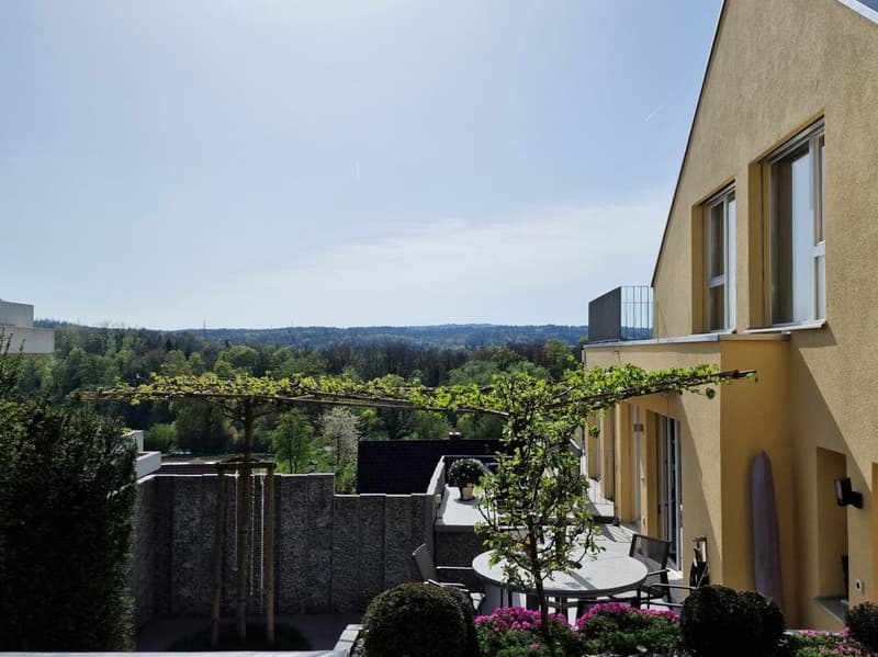 Maison à terrasses avec beaucoup d'intimité et vue sur la Reuss et les montagnes (22)