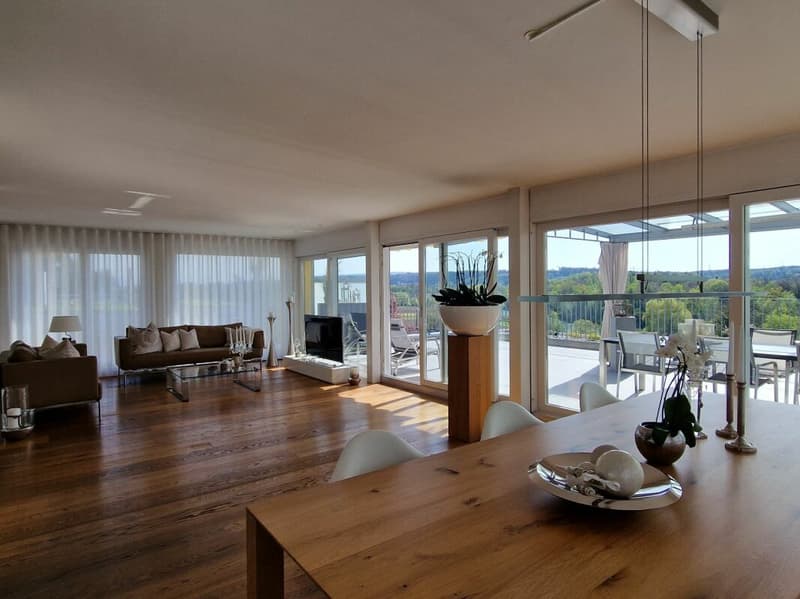 Maison à terrasses avec beaucoup d'intimité et vue sur la Reuss et les montagnes (9)