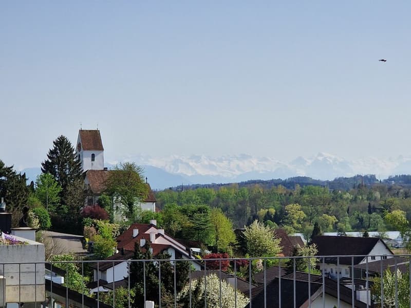 Maison à terrasses avec beaucoup d'intimité et vue sur la Reuss et les montagnes (5)