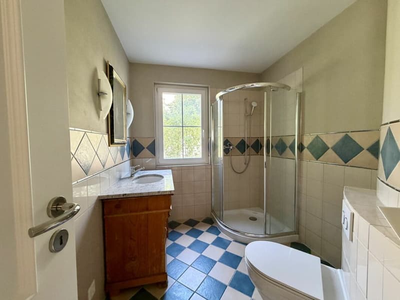 Spacious 6.5-room single-family house with dream garden in Wettingen (17)