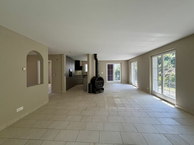 Spacious 6.5-room single-family house with dream garden in Wettingen (4)