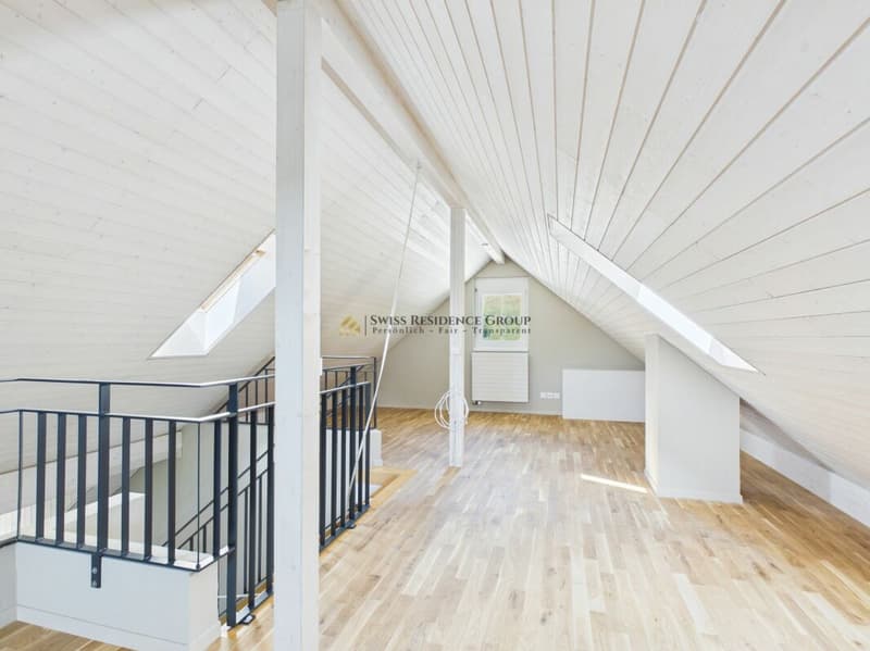 Spacious 6.5-room single-family house with dream garden in Wettingen (11)