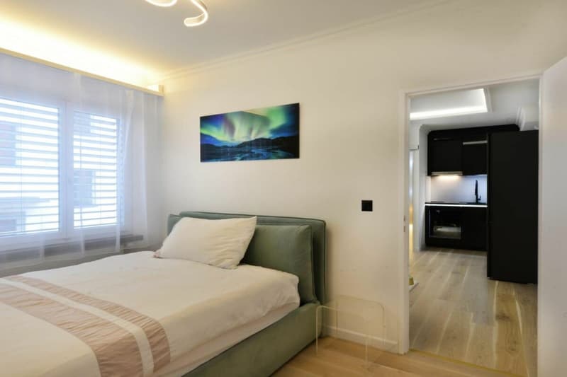 At the best location, furnished and including outdoor parking (limited until the end of August) (5)