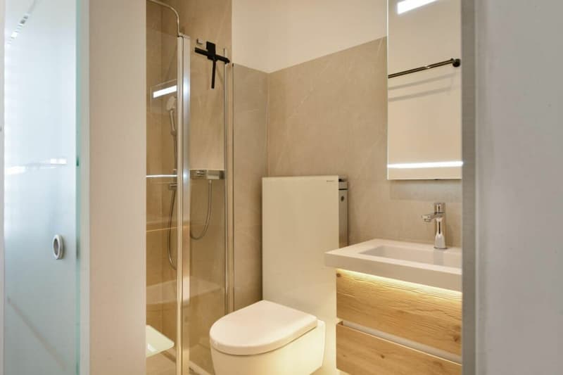 At the best location, furnished and including outdoor parking (limited until the end of August) (7)