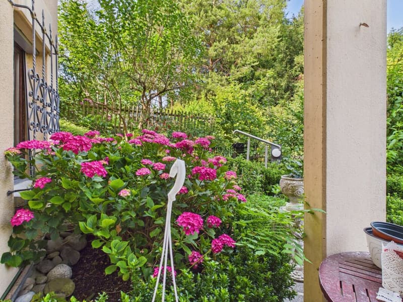 Vivere da sogno ai piedi dell'Üetliberg - Casa a schiera di 6,5 locali elegante (22)