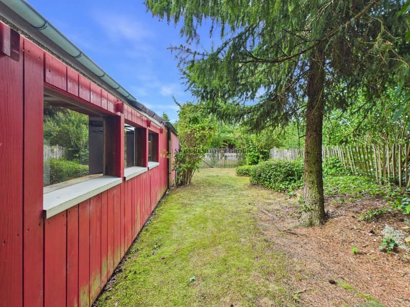 Charming Single-Family Home | Garden, Winter Garden, and Sauna (3)