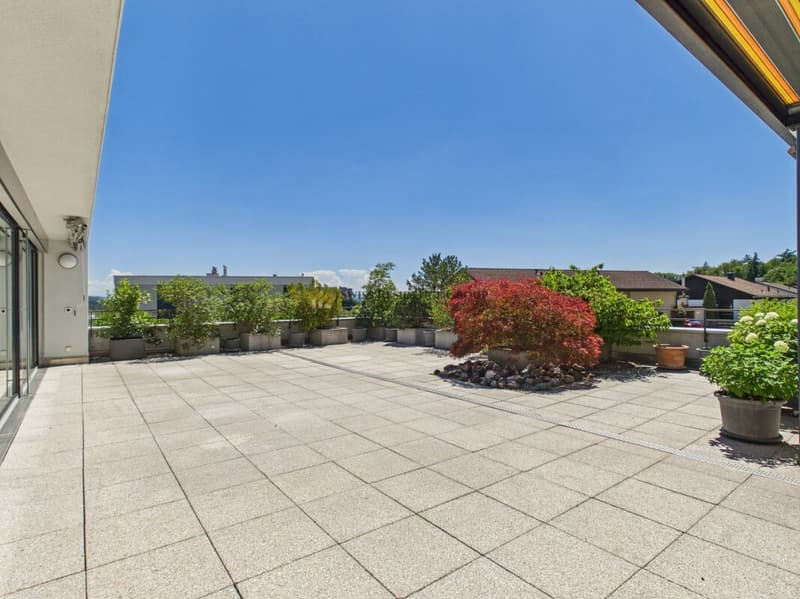Expérience de vie exclusive avec terrasse gigantesque (11)