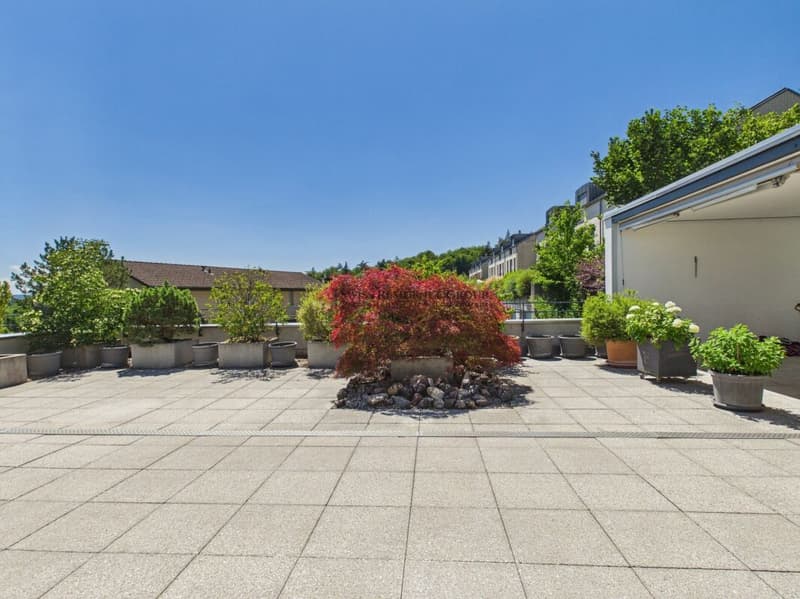 Expérience de vie exclusive avec terrasse gigantesque (12)