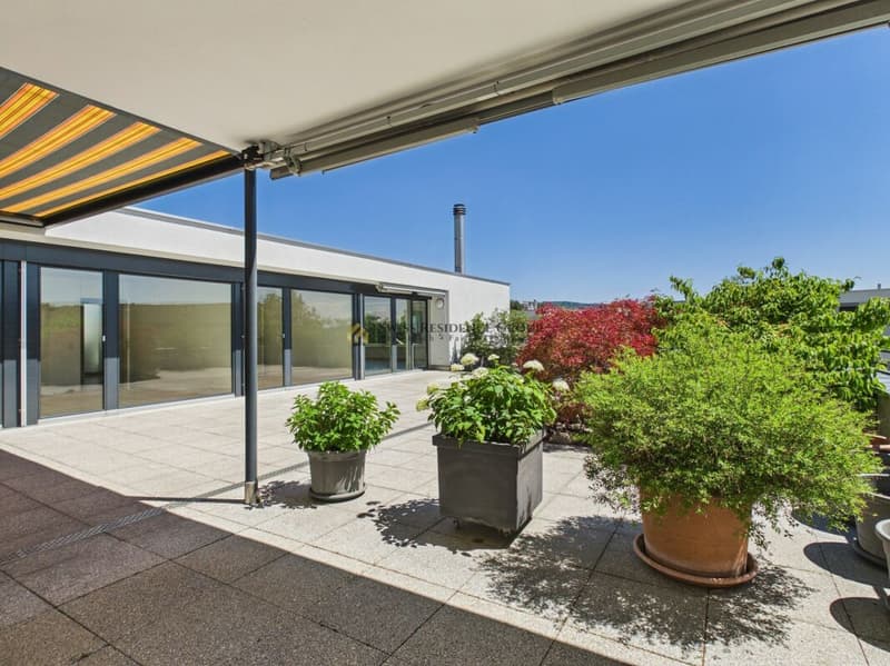Expérience de vie exclusive avec terrasse gigantesque (13)