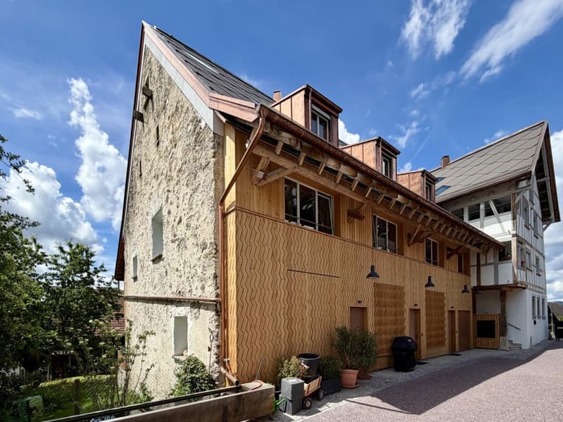 Ein Zuhause mit Geschichte und Zukunft - Licht und Ruhe in Oetwil an der Limmat (13)