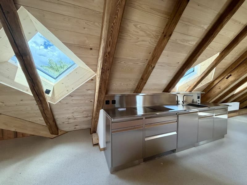 Exclusive penthouse with two loggias - living between nature and city (15)
