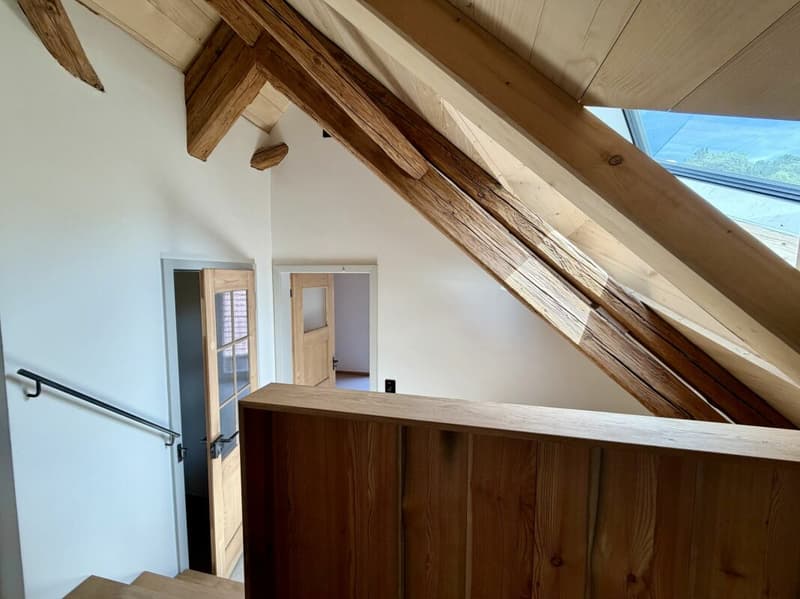 Exclusive penthouse with two loggias - living between nature and city (9)