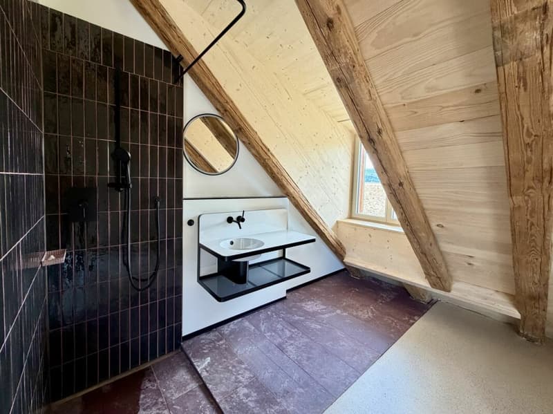 Exclusive penthouse with two loggias - living between nature and city (11)