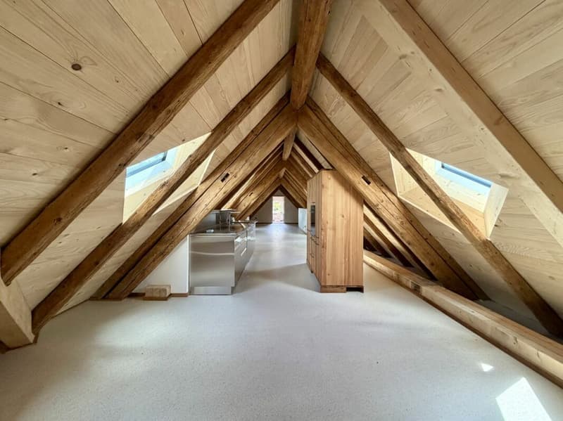 Exclusive penthouse with two loggias - living between nature and city (8)
