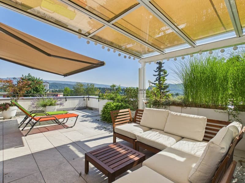 Lichtdurchflutetes Wohnen mit grosser Terrasse und traumhafter Fernsicht (4 Jahre befristet) (1)