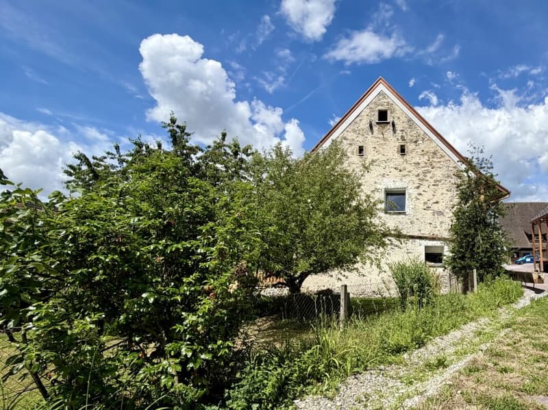 Exklusives Penthouse mit zwei Loggien - Leben zwischen Natur und Stadt (17)