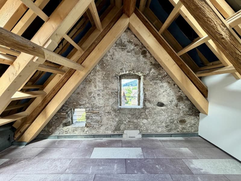 Exklusives Penthouse mit zwei Loggien - Leben zwischen Natur und Stadt (14)